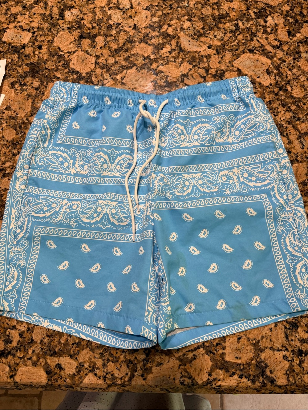 SHEIN Light Blue Paisley Bandana Swim Trunks